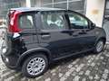 Fiat Panda Panda 1.0 Hybrid 70CV - 08/2023 Noir - thumbnail 13