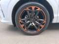 CUPRA Terramar 1.5 e-TSI 150 PS DSG Weiß - thumbnail 5
