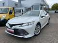 Toyota Camry Hybrid Blanc - thumbnail 2