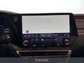 Lexus RX 450h 450h+ 2.5 phev luxury e-cvt Blauw - thumbnail 19