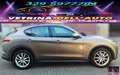 Alfa Romeo Stelvio 2.2 T.diesel 210CV AT8 Q4 Lusso Bronzo - thumbnail 5