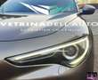 Alfa Romeo Stelvio 2.2 T.diesel 210CV AT8 Q4 Lusso Bronzo - thumbnail 8
