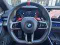 BMW M5 Limousine M Drivers P. Ultimate AHK B&W 0,5% Verst Grau - thumbnail 20