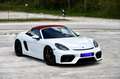 Porsche 718 Spyder 718 Spyder 4.0 Blanc - thumbnail 28
