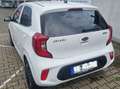 Kia Picanto Picanto 1.0 ISG Dream-Team Edition White - thumbnail 3
