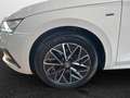 Skoda Octavia Combi 2.0 TDI DSG Ambition Clever Weiß - thumbnail 6