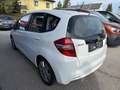 Honda Jazz 1,2i-VTEC Trend Weiß - thumbnail 4