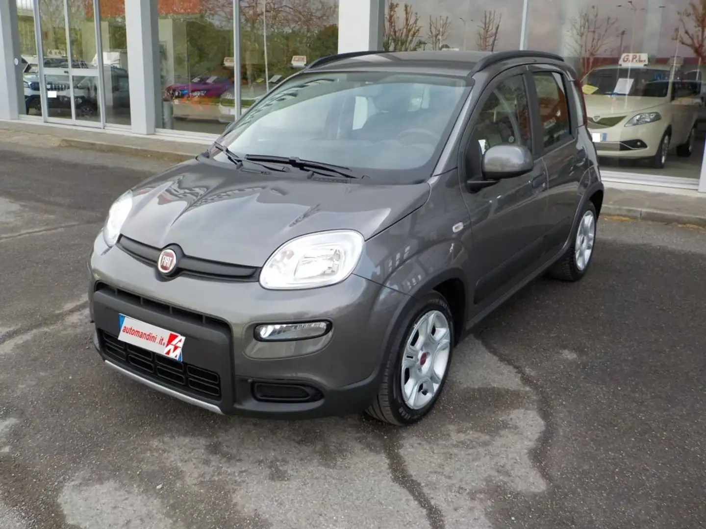 Fiat Panda 1.0 Hybrid 70cv. S&S City Life Km. 5250 Grigio - 1
