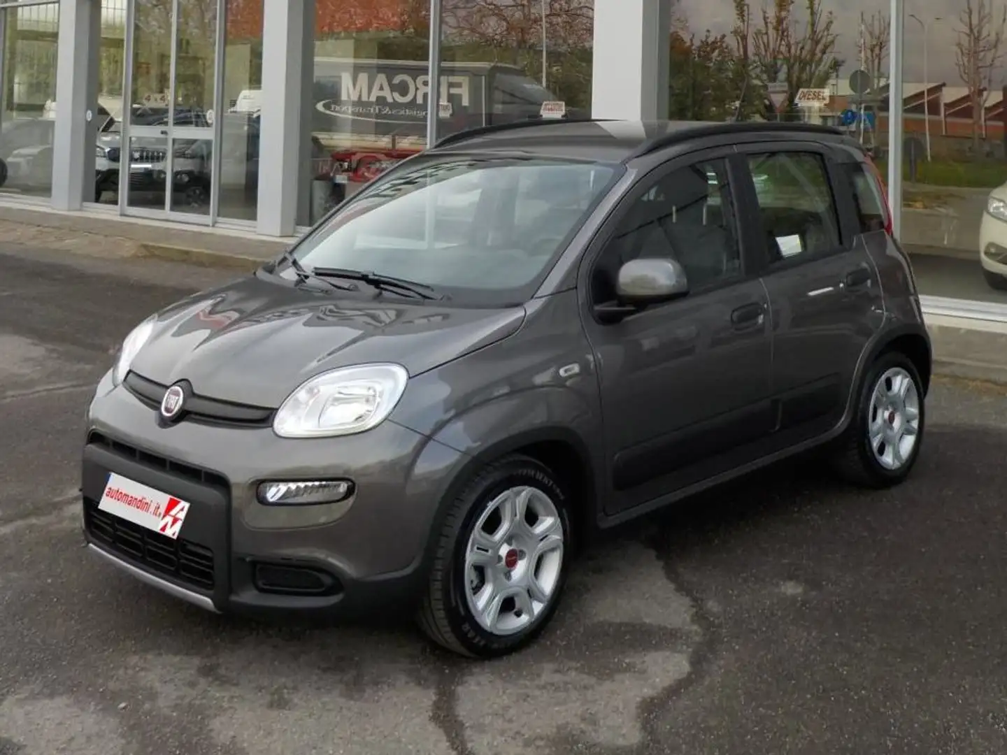 Fiat Panda 1.0 Hybrid 70cv. S&S City Life Km. 5250 Grigio - 2