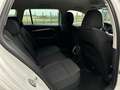 Skoda Octavia Combi 2,0 TDI Premium DSG/AHK/VIRTUAL-C./SHA/RF... Weiß - thumbnail 26