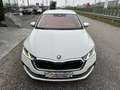 Skoda Octavia Combi 2,0 TDI Premium DSG/AHK/VIRTUAL-C./SHA/RF... Weiß - thumbnail 3
