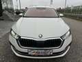 Skoda Octavia Combi 2,0 TDI Premium DSG/AHK/VIRTUAL-C./SHA/RF... Weiß - thumbnail 10