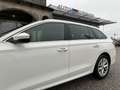 Skoda Octavia Combi 2,0 TDI Premium DSG/AHK/VIRTUAL-C./SHA/RF... Weiß - thumbnail 14