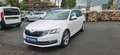 Skoda Octavia Combi Style*Navi*Automatik* Blanco - thumbnail 3
