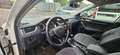Skoda Octavia Combi Style*Navi*Automatik* Blanco - thumbnail 10