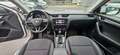 Skoda Octavia Combi Style*Navi*Automatik* Blanco - thumbnail 14