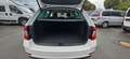 Skoda Octavia Combi Style*Navi*Automatik* Blanco - thumbnail 12