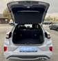 Ford Puma ST-Line - Winterpaket - AKTION! Grau - thumbnail 20