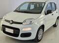 Fiat Panda Panda 1.2 benzina Easy 69 cv E6 Wit - thumbnail 1