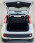 Fiat Panda Panda 1.2 benzina Easy 69 cv E6 Wit - thumbnail 5