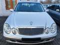 Mercedes-Benz E 200 E 200 CDI .Motor &Getriebe TOP Argent - thumbnail 7
