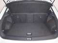 Volkswagen T-Roc Style 1.5TSI DSG 217,-ohne Anzahlung Navi AHK Weiß - thumbnail 20
