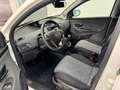 Lancia Ypsilon Silver Hybrid 1.0 70cv FireFly 5 porte S&S Blanc - thumbnail 11