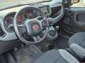 Fiat Panda 1.0 firefly hybrid City Life s&s 70cv 5p.ti Grigio - thumbnail 7