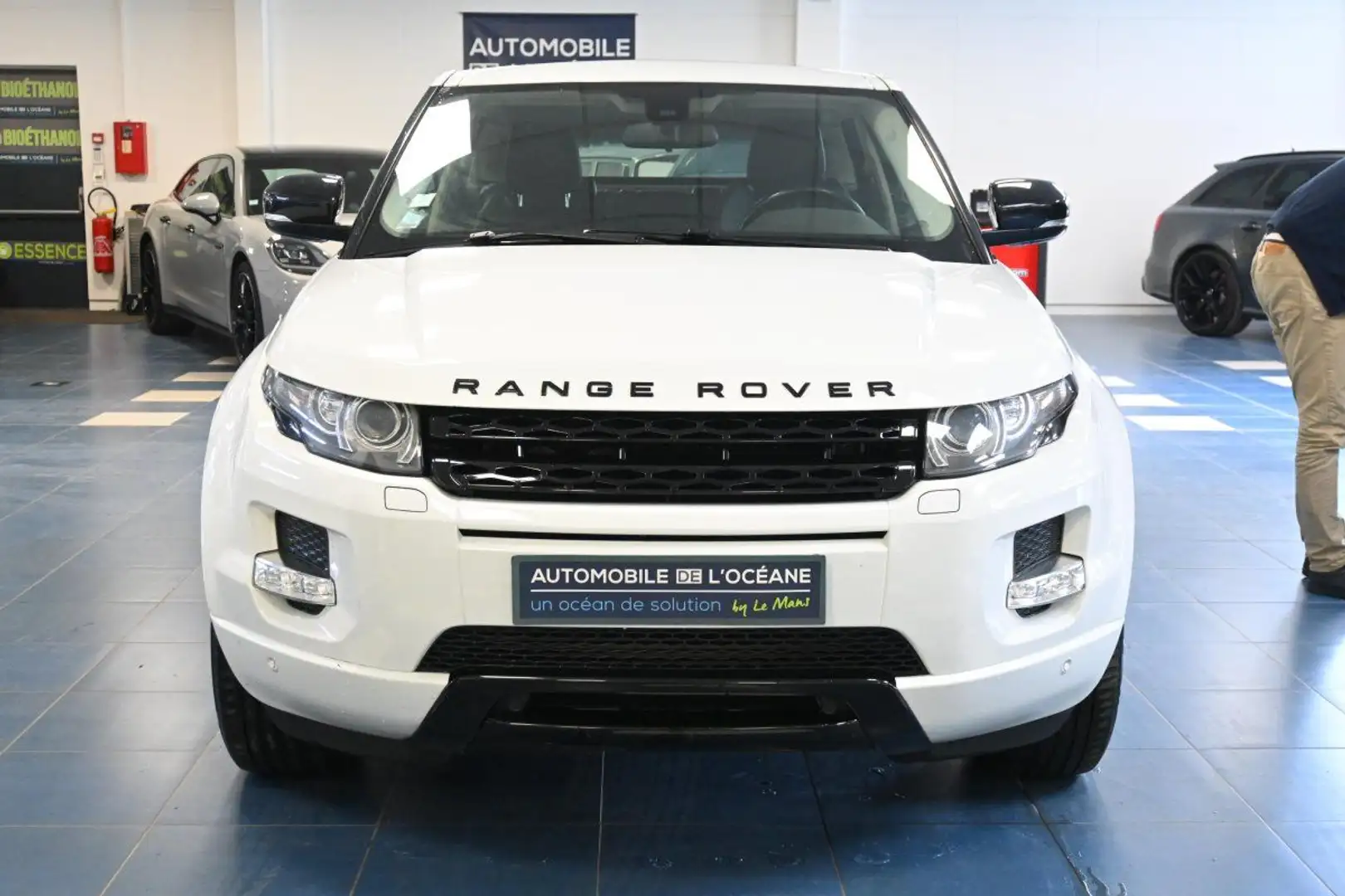 Land Rover Range Rover Evoque TD4 Pure A Blanc - 2