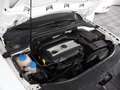 Skoda Superb Combi 1.8 TSI Elegance PANO/XEN/NAV/AHK Weiß - thumbnail 18