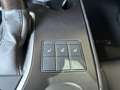 Lexus Sonstige 250 h F Sport HUD LED NAV RFK SHZ ALU Rot - thumbnail 17