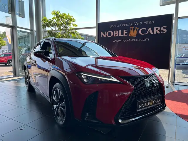 Lexus 250 h F Sport HUD LED NAV RFK SHZ ALU