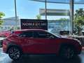 Lexus Sonstige 250 h F Sport HUD LED NAV RFK SHZ ALU Rot - thumbnail 8