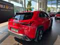Lexus Sonstige 250 h F Sport HUD LED NAV RFK SHZ ALU Rot - thumbnail 7