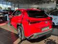 Lexus Sonstige 250 h F Sport HUD LED NAV RFK SHZ ALU Rot - thumbnail 5