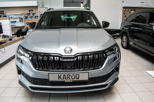 Skoda Karoq view 4