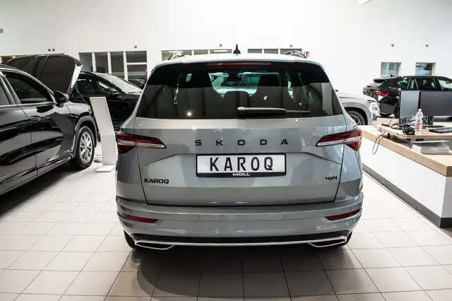 Skoda Karoq view 5
