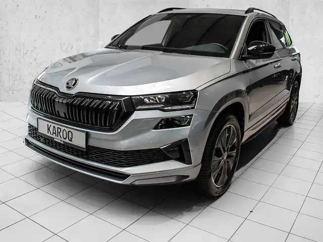 Skoda Karoq view 2