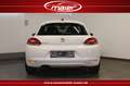 Volkswagen Scirocco TSI Life Bi-Xenon-Navi-Klimaa.-SHZ-PDC- Weiß - thumbnail 5
