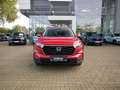 Honda CR-V 2.0 e:HEV ADVANCE AWD PANORAMAD+BOSE+HEADUP Rot - thumbnail 4