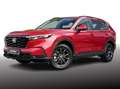 Honda CR-V 2.0 e:HEV ADVANCE AWD PANORAMAD+BOSE+HEADUP Rot - thumbnail 2