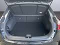 Kia XCeed Vision 1.5 T-GDI DCT KLIMAAUTOMATIK !!NEUES MJ23!! Negro - thumbnail 15
