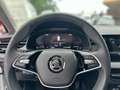 Skoda Kamiq 1.0 TSI DSG Drive AHK+Assited Drive+++ Weiß - thumbnail 8