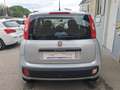 Fiat Panda Panda 1.2 69 C.V. GPL EASY SOLI KM 58545 Gris - thumbnail 5