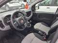Fiat Panda Panda 1.2 69 C.V. GPL EASY SOLI KM 58545 Gris - thumbnail 7
