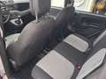 Fiat Panda Panda 1.2 69 C.V. GPL EASY SOLI KM 58545 Gris - thumbnail 11