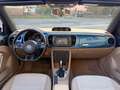 Volkswagen Maggiolino Cabrio 2.0 tdi Design 110cv DSG CERCHI 18 Bleu - thumbnail 10