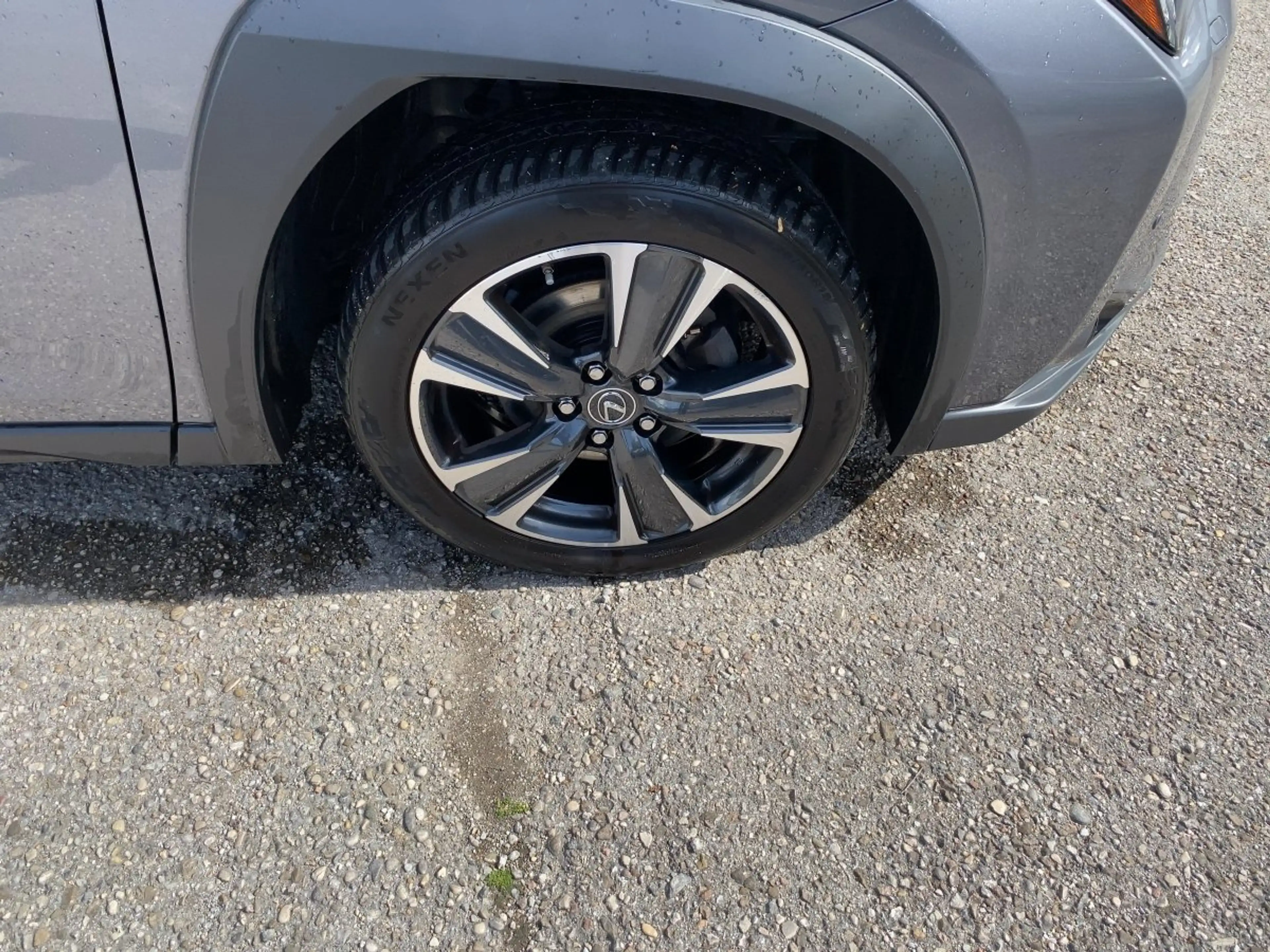 Lexus UX 250h UX 250 h 250h Style Edition — photo 10