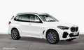 BMW X5 xDrive30d MSport,Pano,HUD,ACC,Sthzg,LED,elAHK Blanc - thumbnail 6