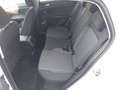 Volkswagen T-Cross Friends TSI Weiß - thumbnail 11